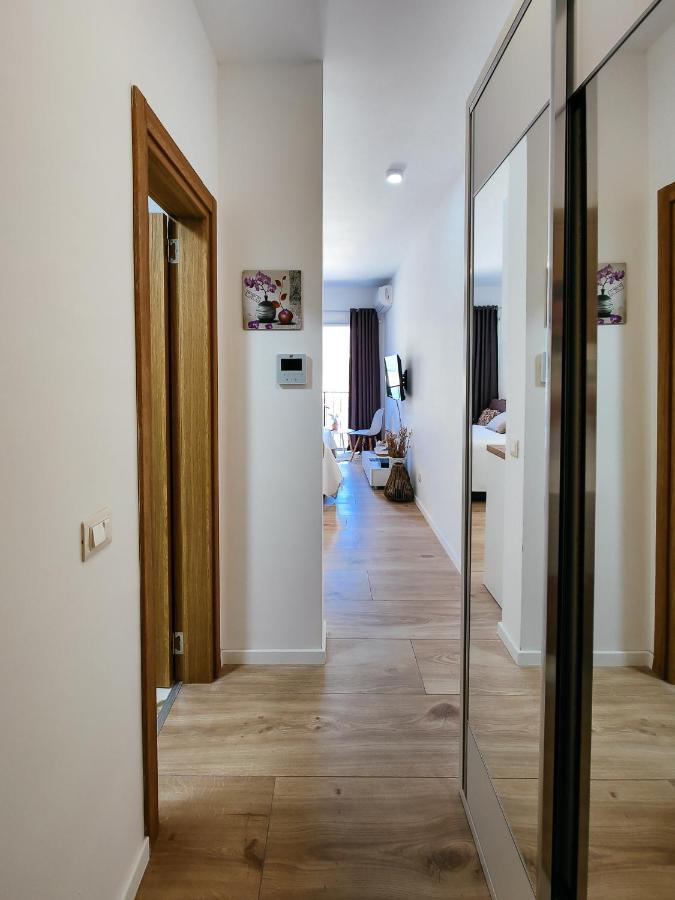 Brand New Studio With Panorama View Kotor Extérieur photo